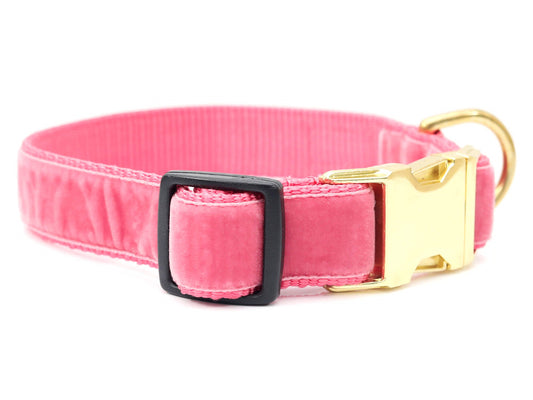 Canine Envy Vintage Velvet Dog Collar ♡ Primrose Pink